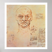 Studies van de porties van het gezicht en het oog, poster (Voorkant)