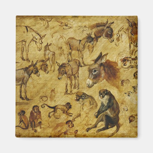 Studies van dieren: ezels, apen, katten & honden magneet (Voorkant)