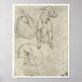 Studies van een hond en een kat, Leonardo Da Vinci Poster (Voorkant)
