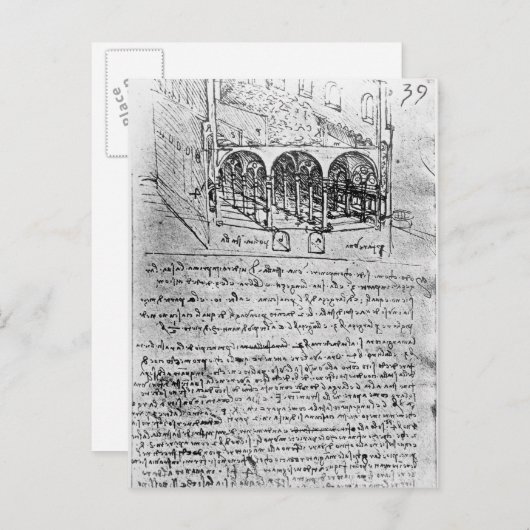 Studies voor stallen briefkaart (Voorkant / Achterkant)