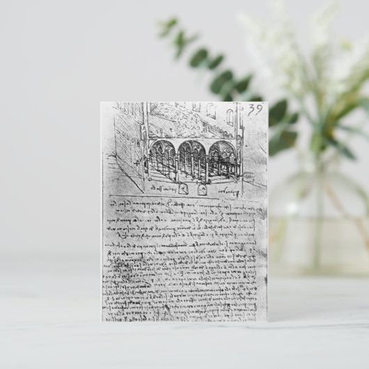 Studies voor stallen briefkaart (Staand voorkant)