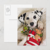 studio briefkaart (Voorkant / Achterkant)