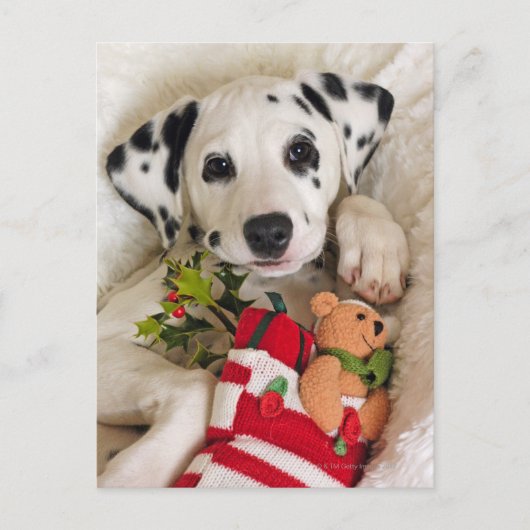 studio briefkaart (Voorkant)