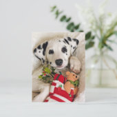 studio briefkaart (Staand voorkant)