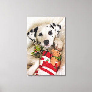 studio canvas afdruk