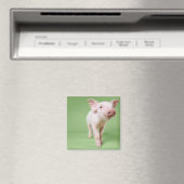 Studio Knipt uit een piglet-opstand Magneet (Insitu (Vaatwasser))
