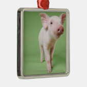Studio Knipt uit een piglet-opstand Metalen Ornament (Rechts)