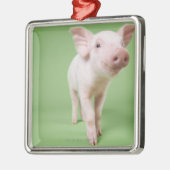 Studio Knipt uit een piglet-opstand Metalen Ornament (Links)