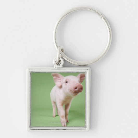 Studio Knipt uit een piglet-opstand Sleutelhanger (Voorkant)