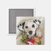 studio magneet (Voorkant / Achterkant)