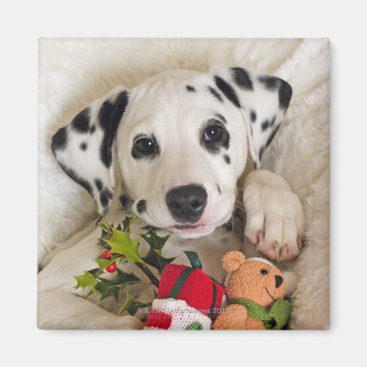 studio magneet (Voorkant)