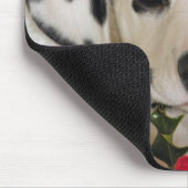 studio muismat (Hoek)