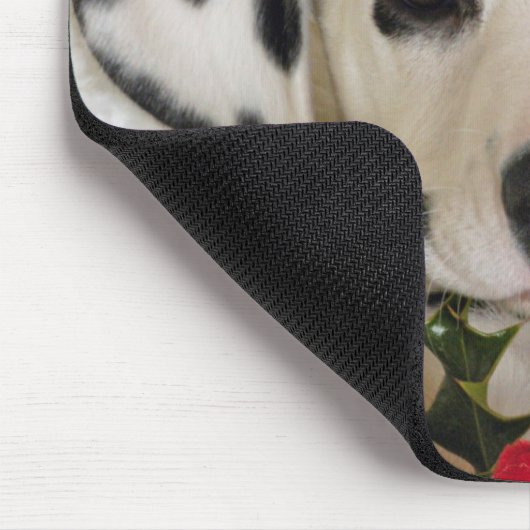 studio muismat (Hoek)