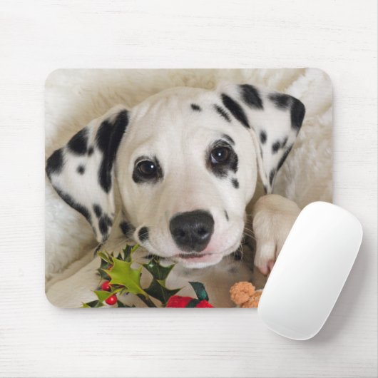 studio muismat (Met muis)