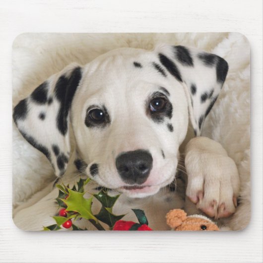 studio muismat (Voorkant)