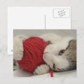 Studio-opname Briefkaart (Voorkant / Achterkant)