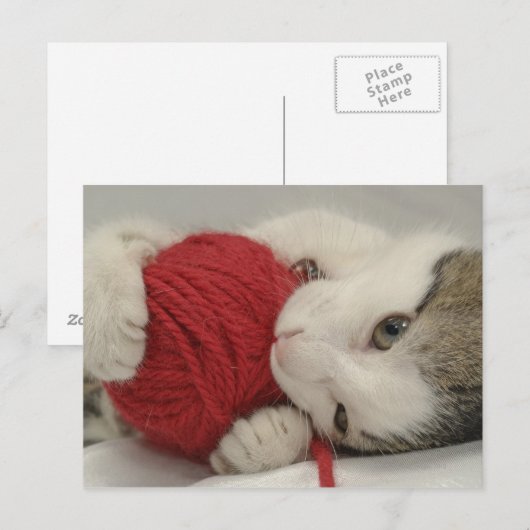 Studio-opname Briefkaart (Voorkant / Achterkant)