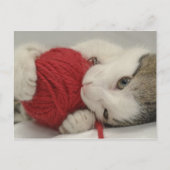 Studio-opname Briefkaart (Voorkant)