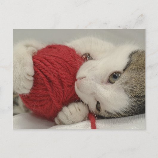 Studio-opname Briefkaart (Voorkant)