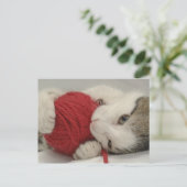 Studio-opname Briefkaart (Staand voorkant)