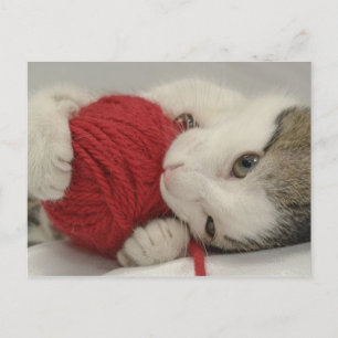 Studio-opname Briefkaart