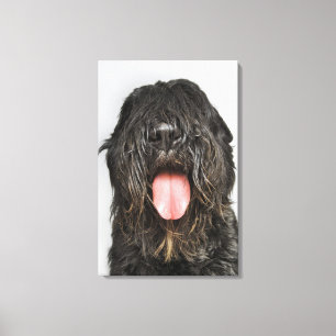 Studio-opname Canvas Afdruk