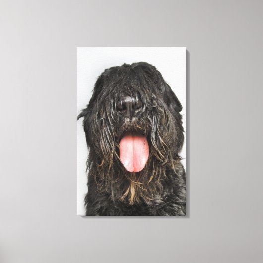 Studio-opname Canvas Afdruk (Voorkant)