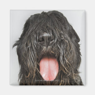 Studio-opname Magneet