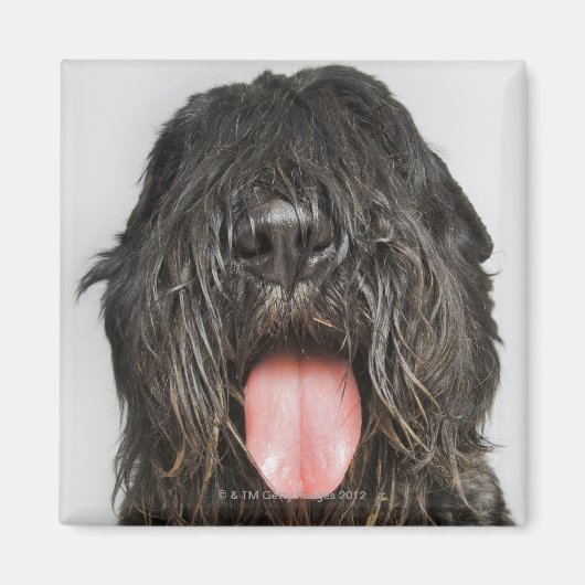 Studio-opname Magneet (Voorkant)