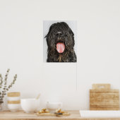 Studio-opname Poster (Keuken)