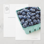 Studio-opname van bosbessen briefkaart (Voorkant / Achterkant)