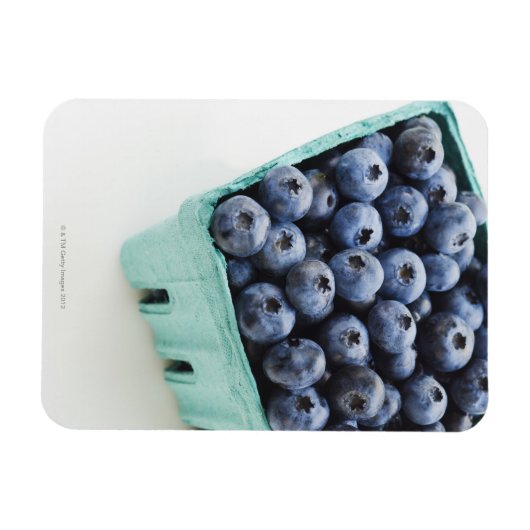 Studio-opname van bosbessen magneet (Horizontaal)