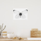 Studio-opname van een scherpe witte vlinder poster (Keuken)