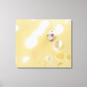 Studio-opname van witte muis die door een gat kijk canvas afdruk