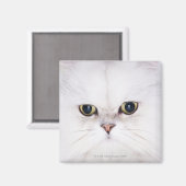 Studio-opname van witte Perzische kat Magneet (Voorkant / Achterkant)