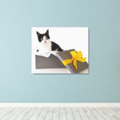 Studio-opname van zwarte en witte kat in cadeaudoo canvas afdruk (Insitu (Houten vloer))