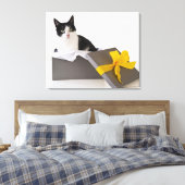 Studio-opname van zwarte en witte kat in cadeaudoo canvas afdruk (Insitu (Slaapkamer))