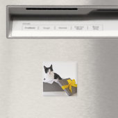 Studio-opname van zwarte en witte kat in cadeaudoo magneet (Insitu (Vaatwasser))