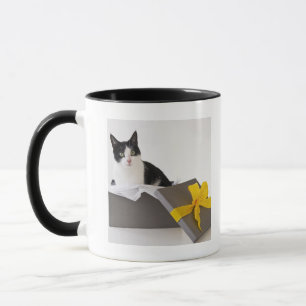 Studio-opname van zwarte en witte kat in cadeaudoo mok
