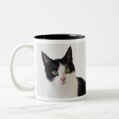 Studio-opname van zwarte en witte kat in cadeaudoo tweekleurige koffiemok (Links)