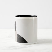 Studio-opname van zwarte en witte kat in cadeaudoo tweekleurige koffiemok (Center)