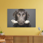 Studio-portret van chocoladelabrador canvas afdruk (Insitu (Woonkamer))
