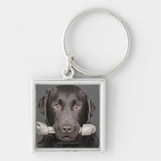 Studio-portret van chocoladelabrador sleutelhanger (Voorkant)