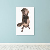Studio-portret van Chocolate Labrador Canvas Afdruk (Insitu (Houten vloer))