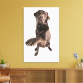 Studio-portret van Chocolate Labrador Canvas Afdruk (Insitu (Woonkamer))