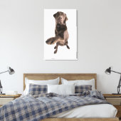 Studio-portret van Chocolate Labrador Canvas Afdruk (Insitu (Slaapkamer))