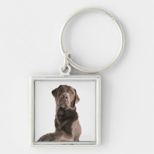 Studio-portret van Chocolate Labrador Sleutelhanger