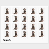 Studio-portret van Chocolate Labrador Vierkante Sticker (Vel)
