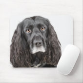 Studio-portret van cockerspaniel muismat (Met muis)