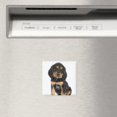 Studio-portret van Rottweiler-puppy Magneet (Insitu (Vaatwasser))